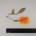 画像2: ヘビーワイヤー スピナーベイト　金ブレード＆オレンジ・イエロースカート　40g  (2)